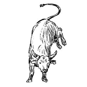 Meet your Posher, Kolten